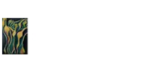 Chiropractic Tucson AZ logo